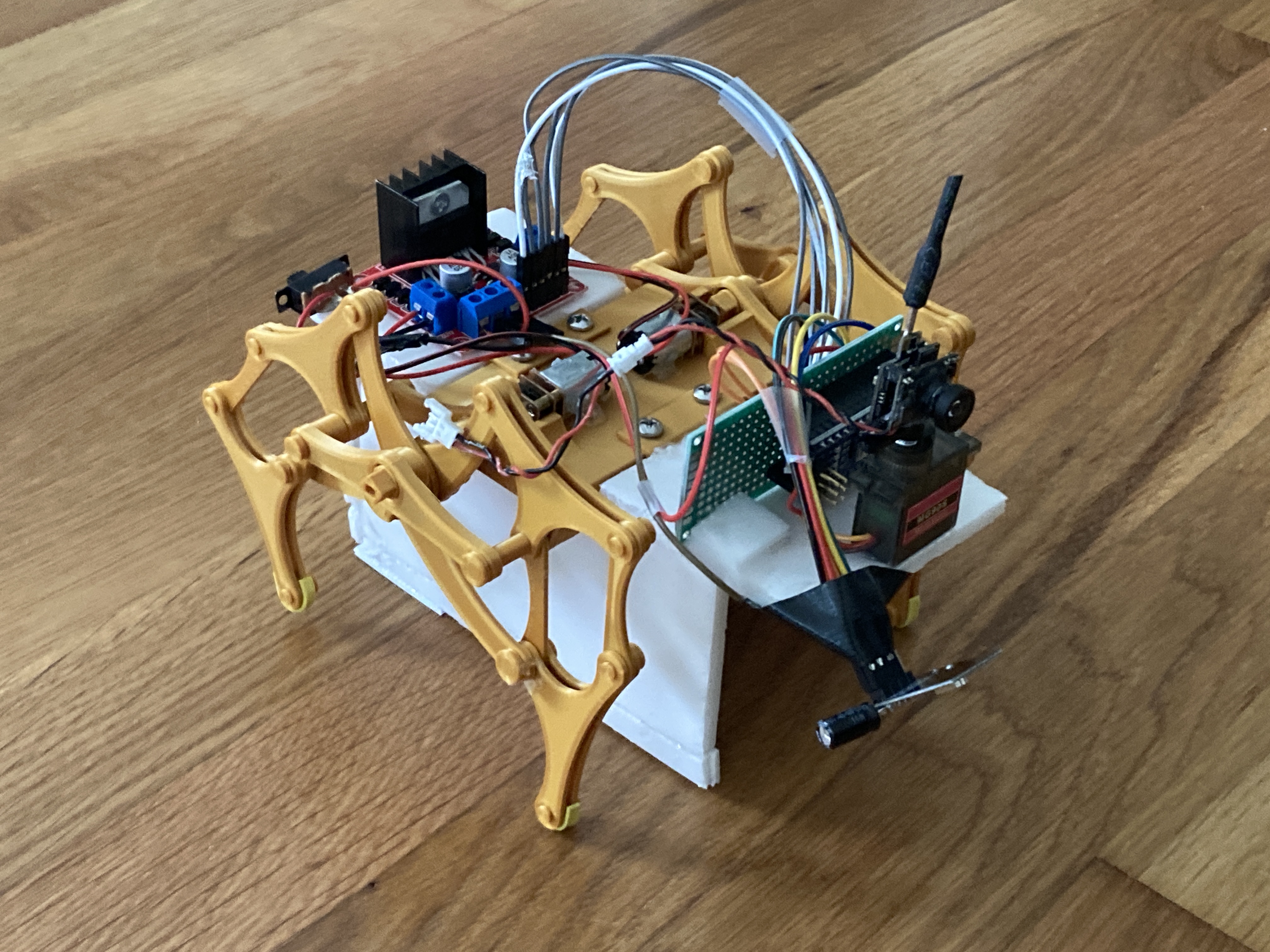 RC strandbeest